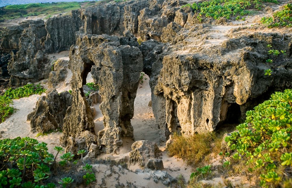 Lava cliffs