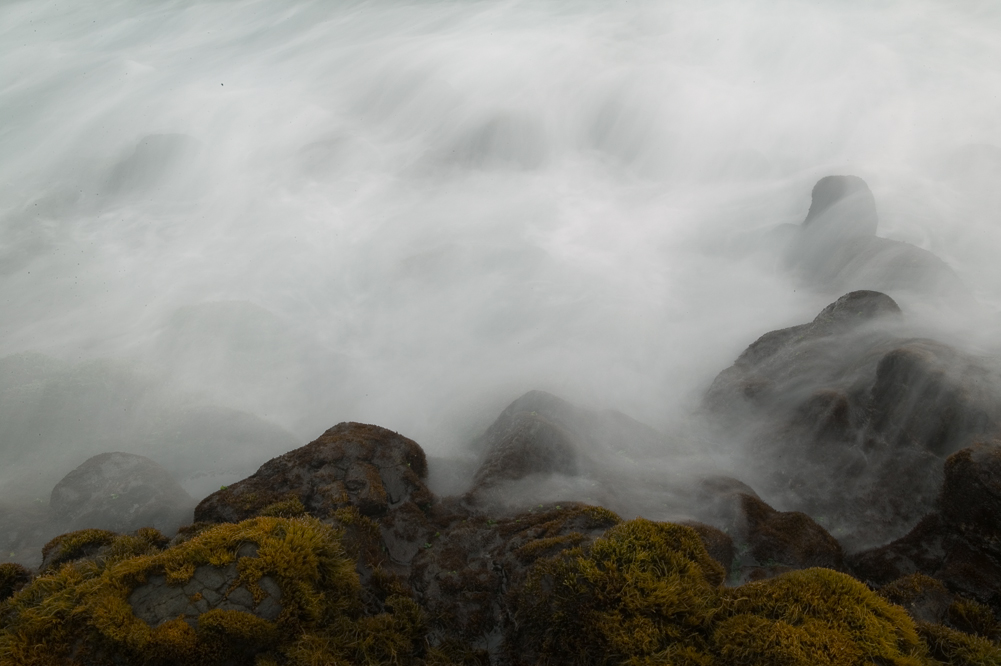 Mist and Moss