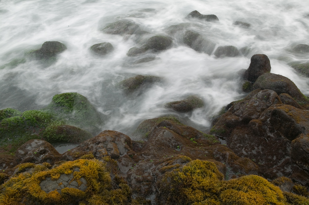 Moss Rock and foam II