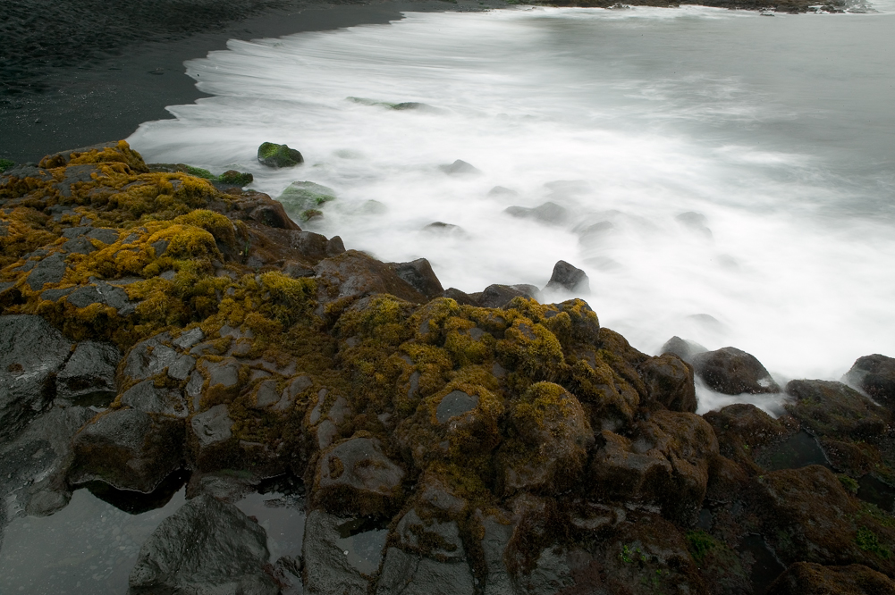 Wave on Black Sand Beach with Moss