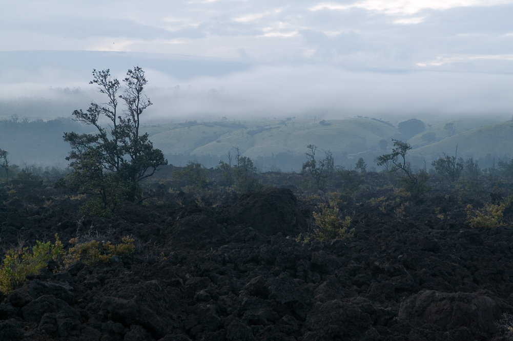 Mauna Loa