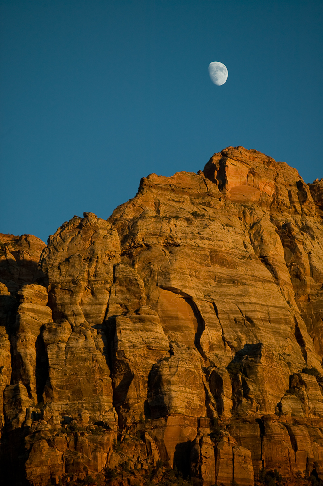 Moon over Zion