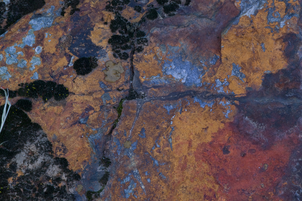 Painted Rock II