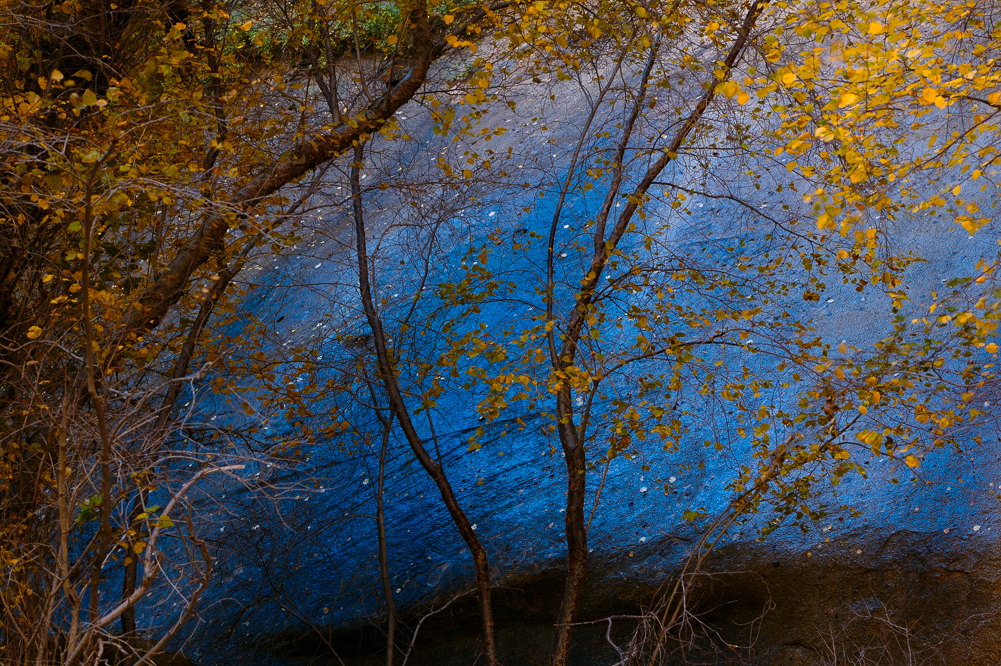 Carol's Blue Rock