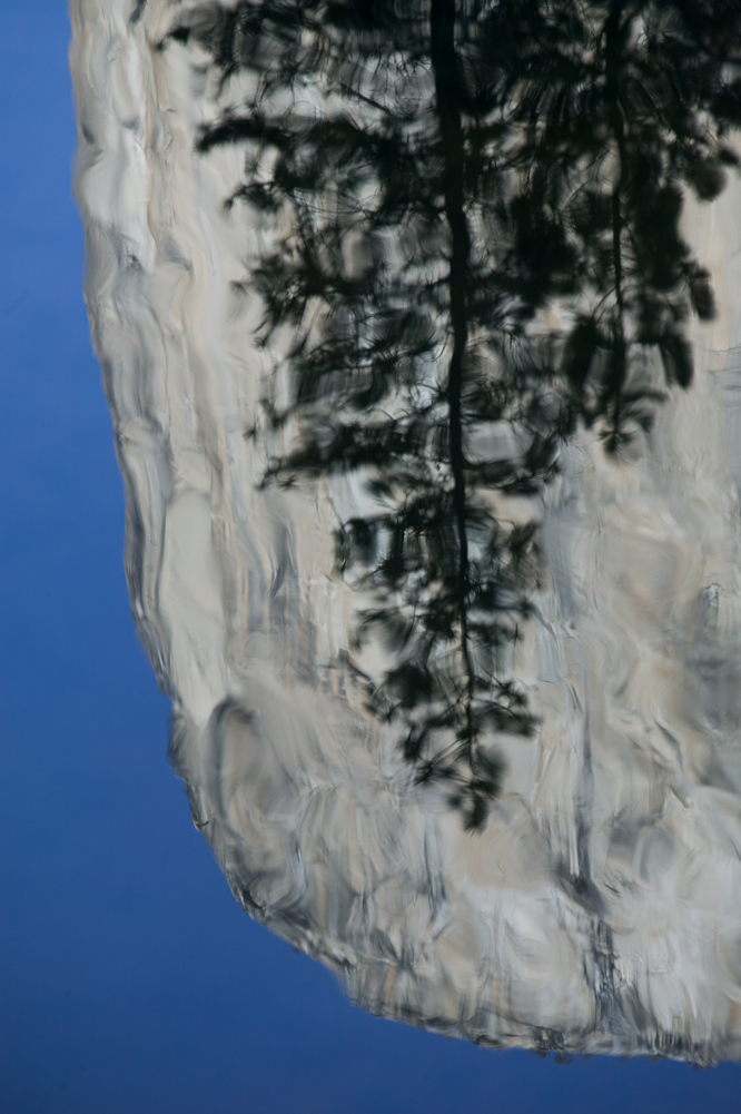 El Capitan and Pine Tree Reflection II