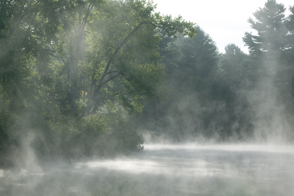 Rising Mist