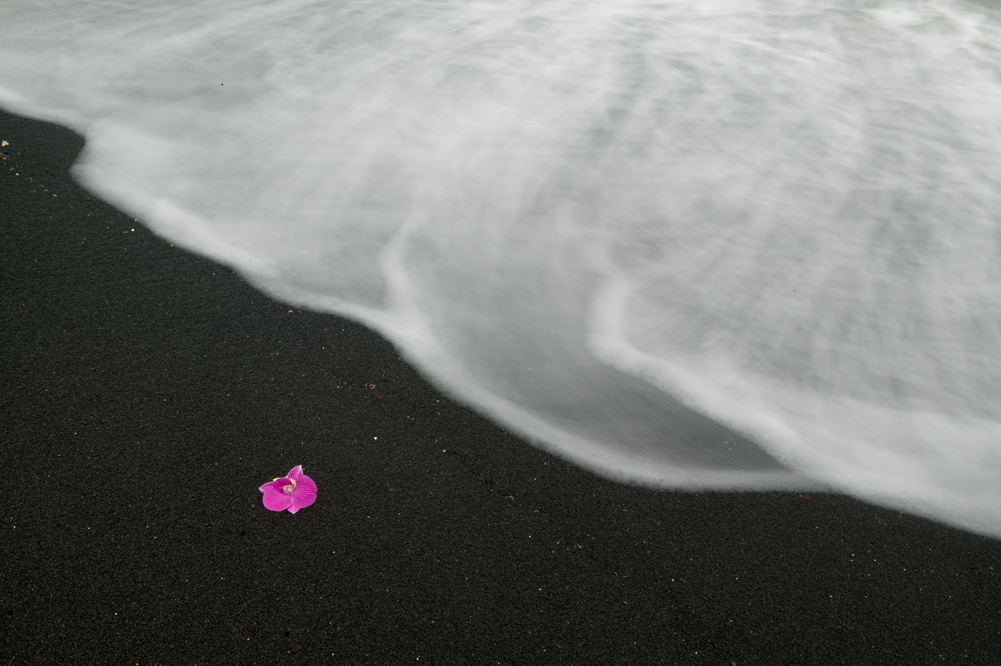 black Sand and Orchid