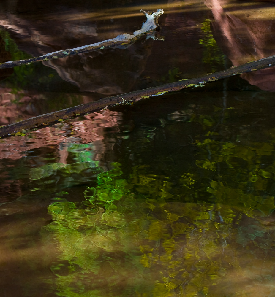 Emerald Pool Reflection