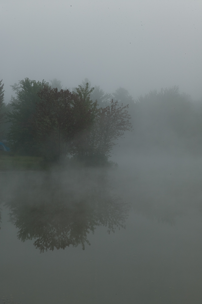 Reflections in Fog