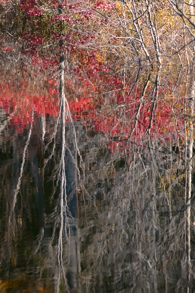 Rippled Reflection