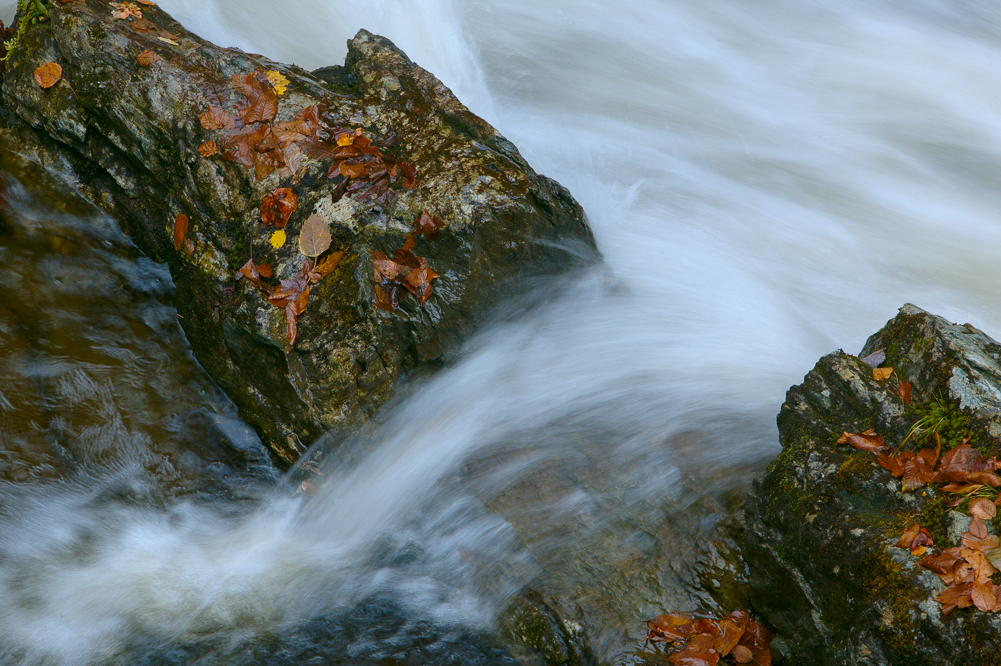 Rushing Water and Rock