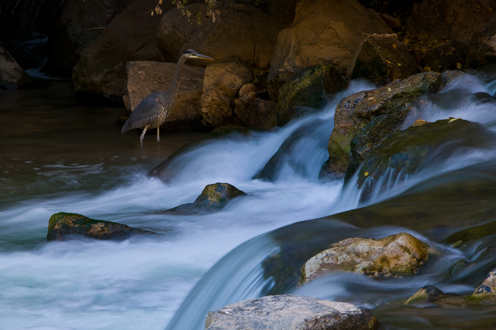 The Firsherman, Virgin River