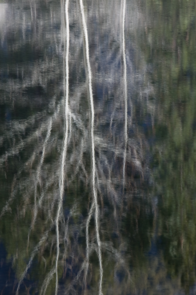 Sinuosity