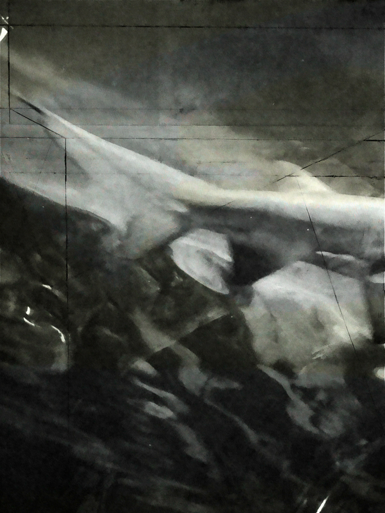 Shark (left panel)