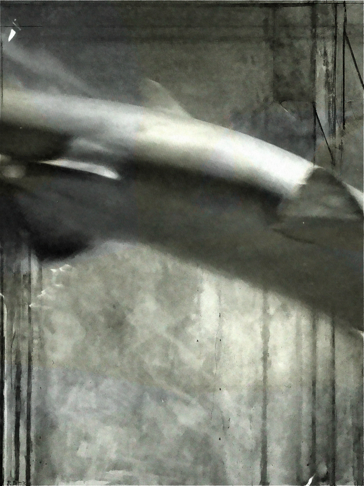 Shark (Center Panel)